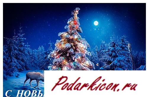 Где отдохнуть на новогодние празднички 2016 в Рф