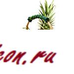 Что подарить доктору на новейший год 2015