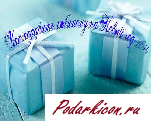 Что подарить возлюбленному на Новейший год 2014